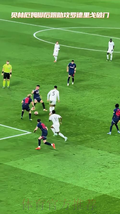 安胖：罗德里戈正找回状态 贝林厄姆负荷有点大